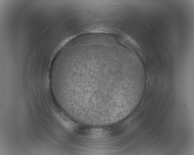 X0000079320298200612011849