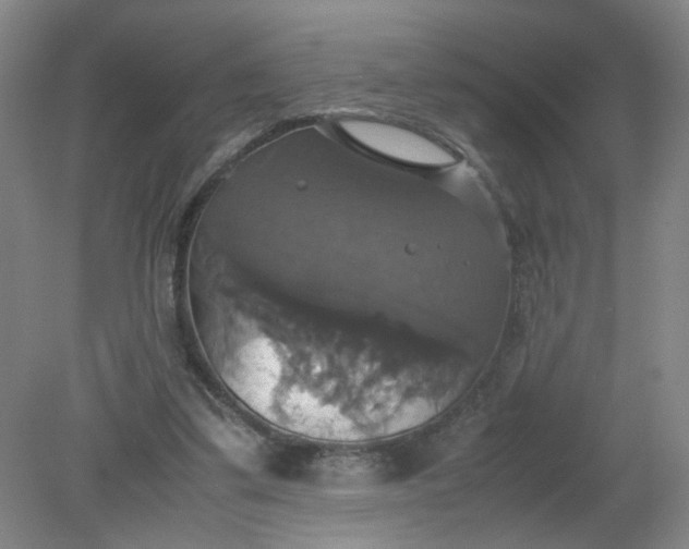 X0000079320299200612011849