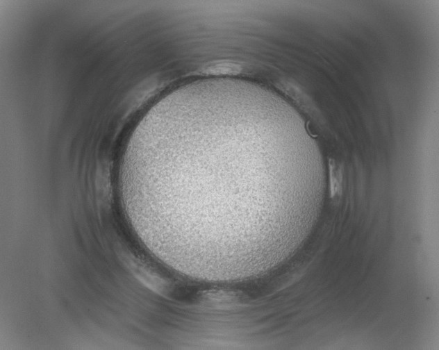 X0000079320300200612011849