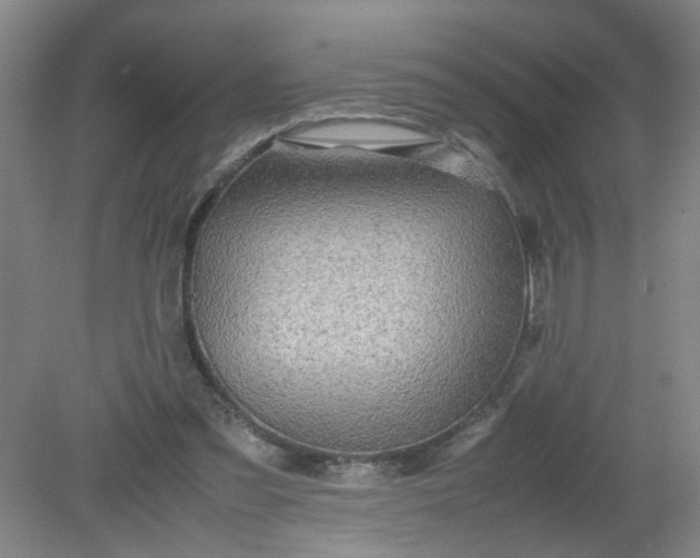 X0000079320301200612011849