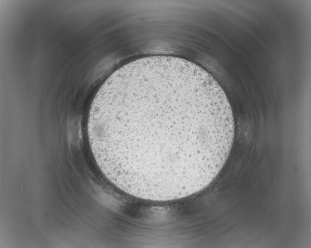 X0000079320302200612011849