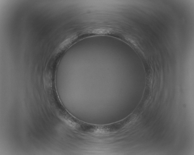 X0000079320303200612011849