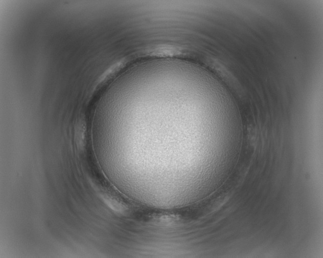 X0000079320304200612011849