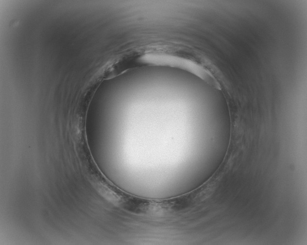 X0000079320305200612011849