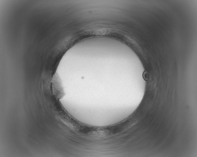 X0000079320307200612011849