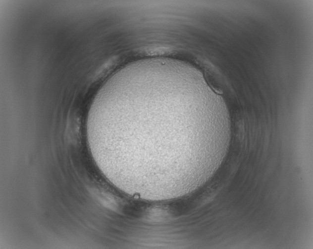 X0000079320308200612011849