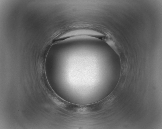 X0000079320309200612011849