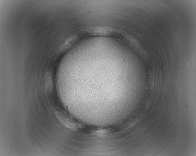 X0000079320312200612011849