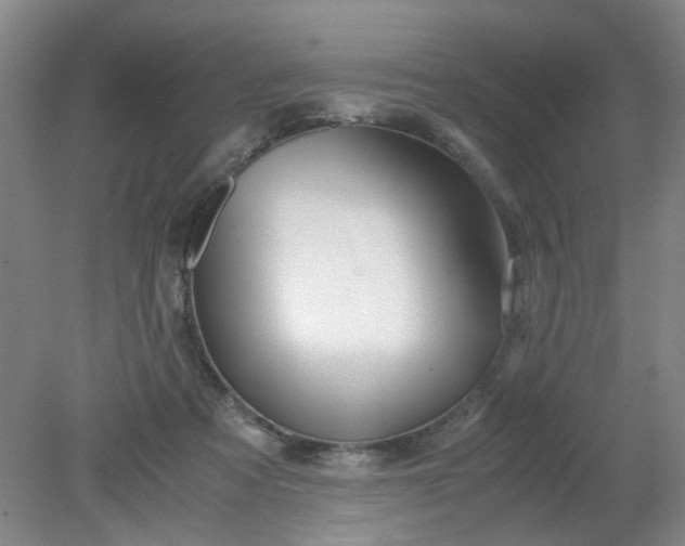 X0000079320313200612011849