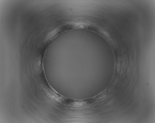 X0000079320314200612011849