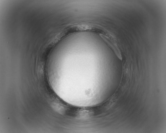 X0000079320315200612011849