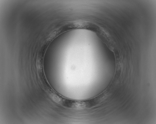 X0000079320317200612011849