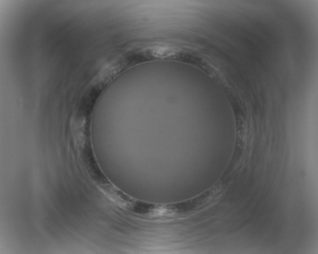 X0000079320319200612011849