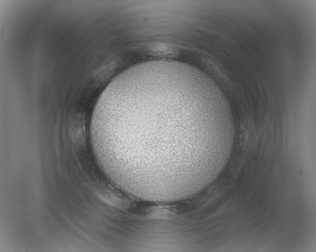 X0000079320320200612011849