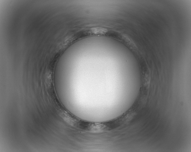 X0000079320321200612011849