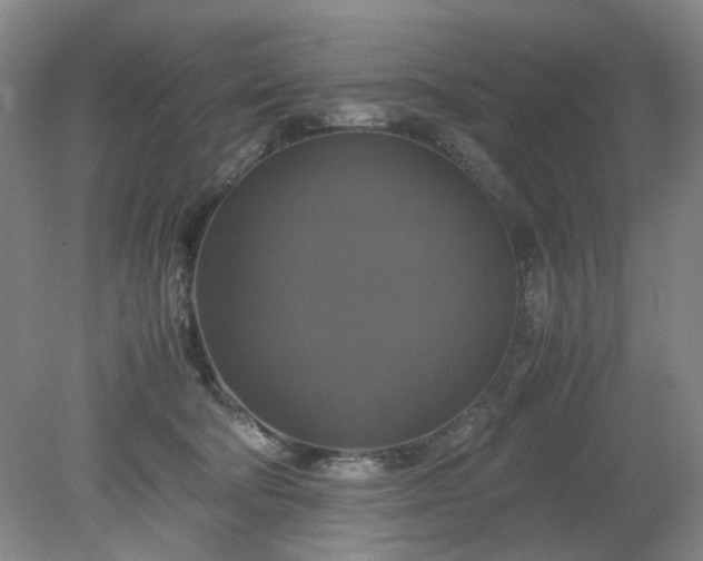 X0000079320322200612011849