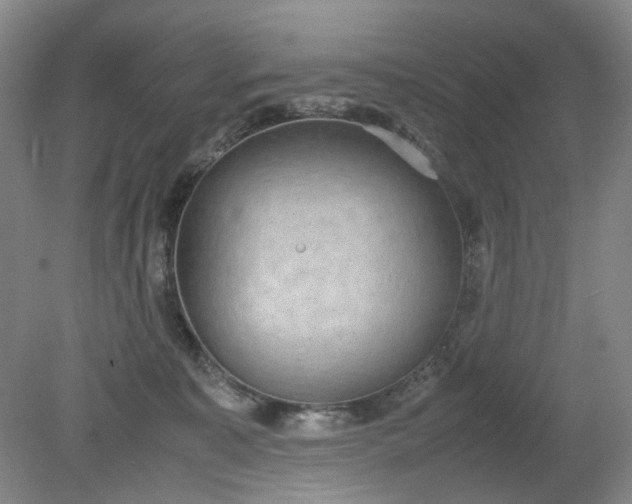 X0000079320323200612011849