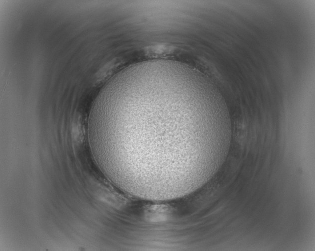 X0000079320324200612011849