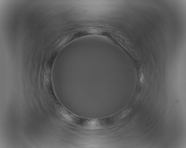 X0000079320325200612011849