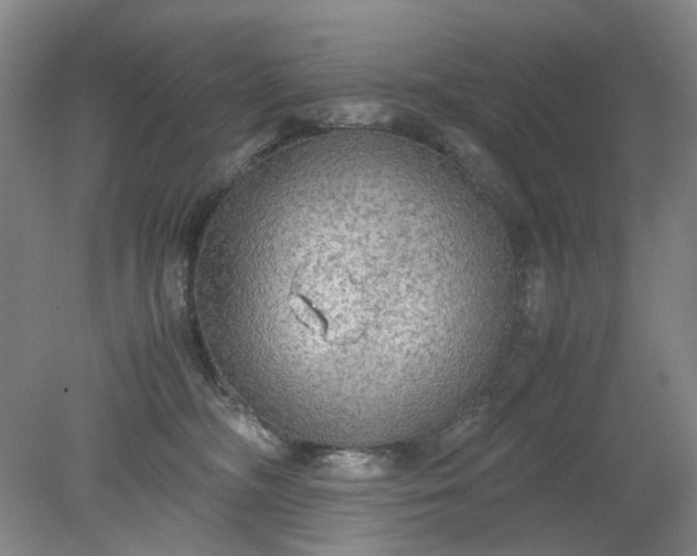 X0000079320326200612011849