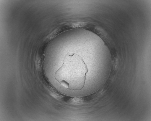 X0000079320327200612011848