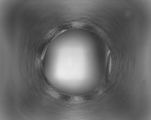 X0000079320329200612011848