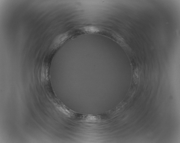 X0000079320330200612011848