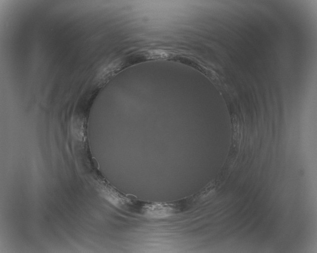 X0000079320331200612011848