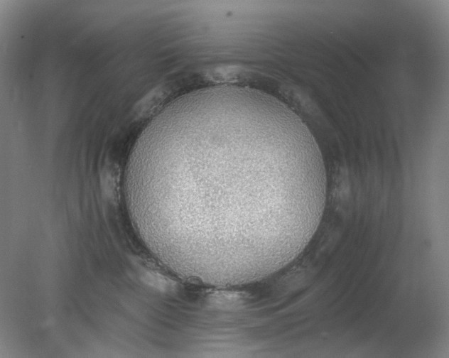 X0000079320332200612011848