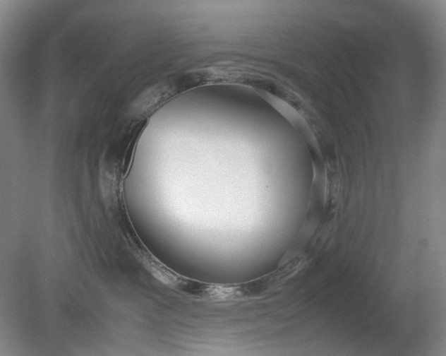 X0000079320333200612011848