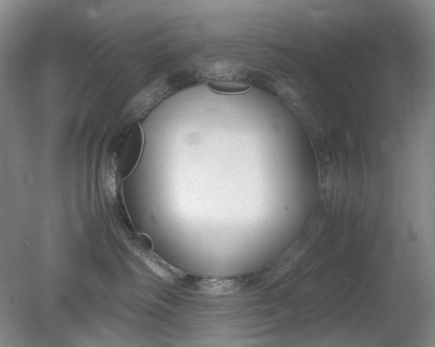 X0000079320334200612011848