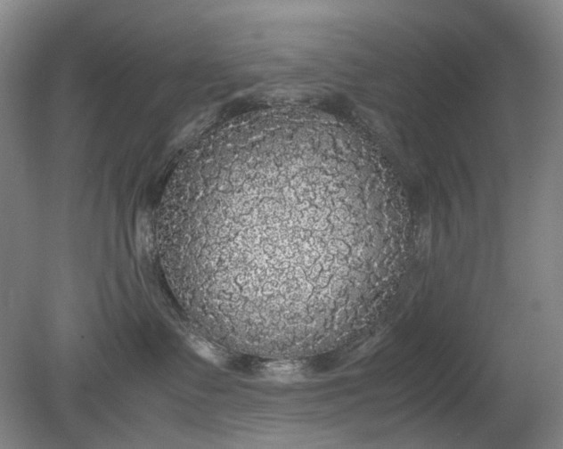 X0000079320335200612011848