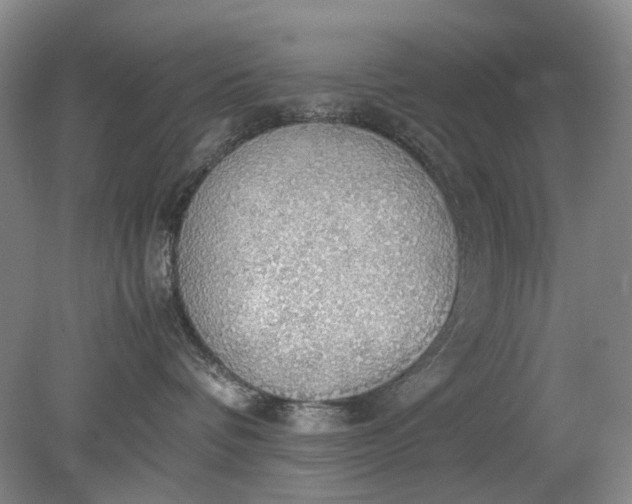 X0000079320336200612011848