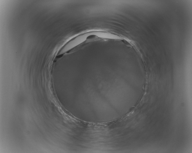 X0000079320337200612011848