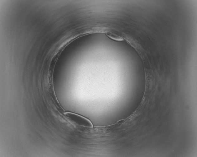 X0000079320338200612011848