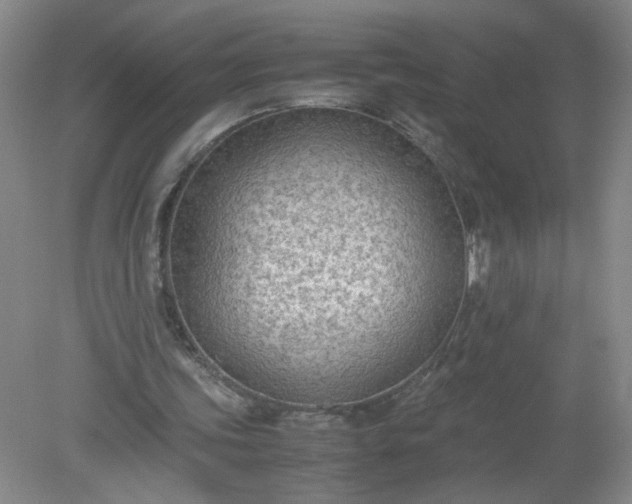 X0000079320339200612011848