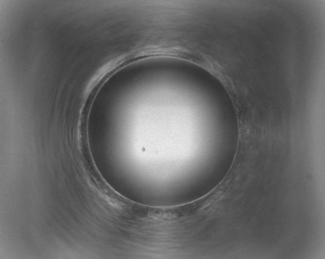 X0000079320340200612011848