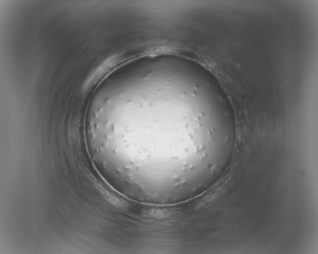 X0000079320341200612011848