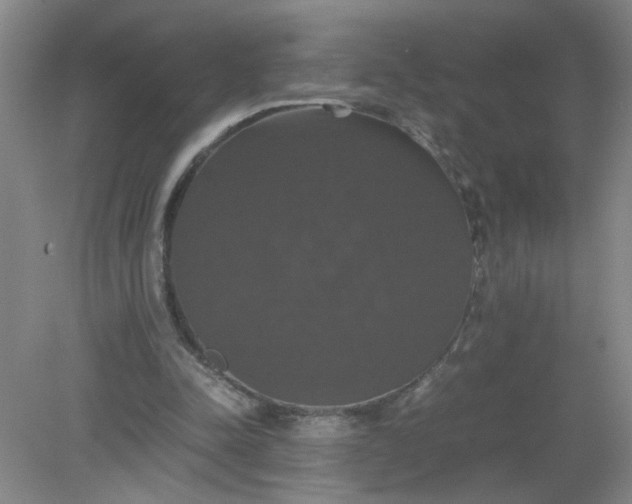 X0000079320342200612011848