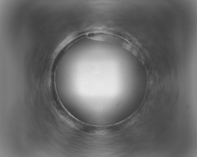 X0000079320344200612011848