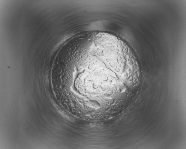 X0000079320345200612011848