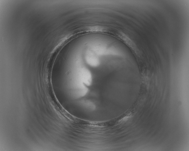 X0000079320347200612011848