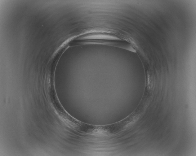 X0000079320348200612011848