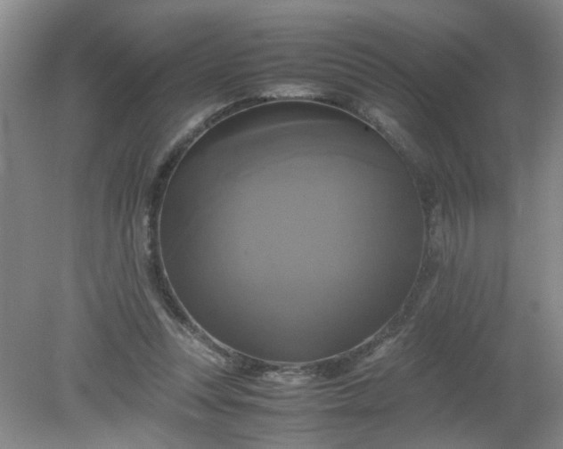 X0000079320351200612011848