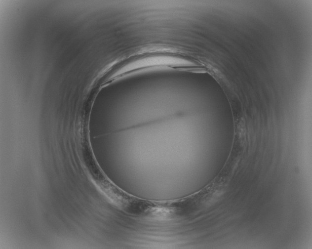 X0000079320352200612011848