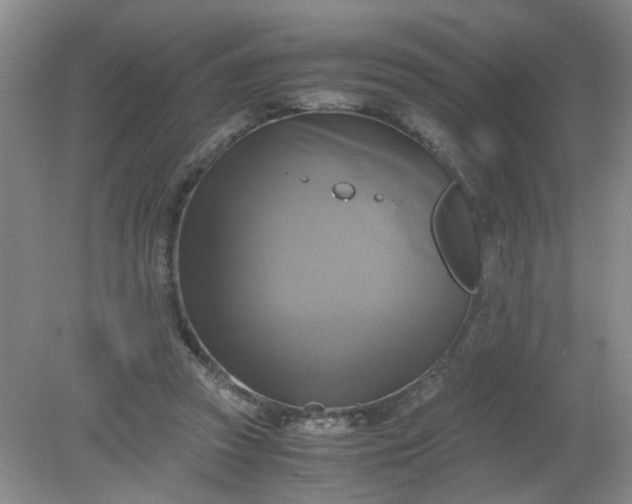 X0000079320353200612011848