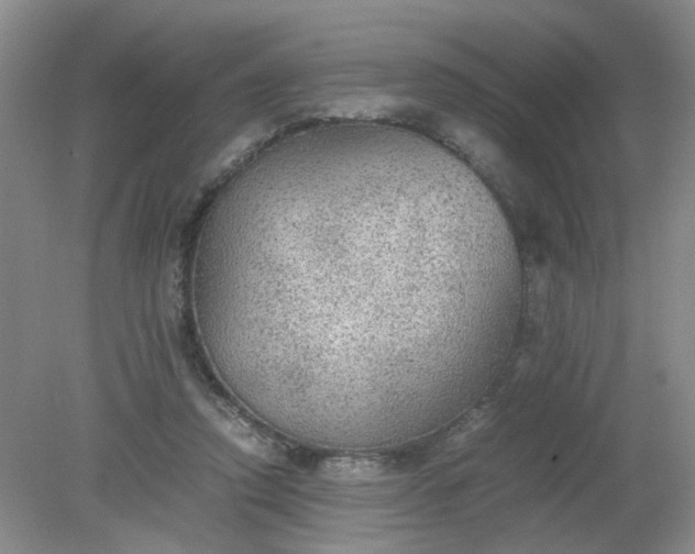 X0000079320354200612011848