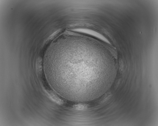 X0000079320356200612011848