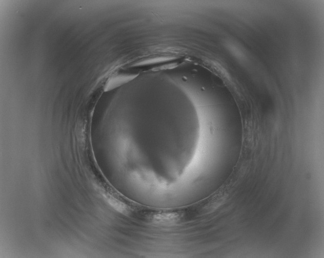 X0000079320357200612011848