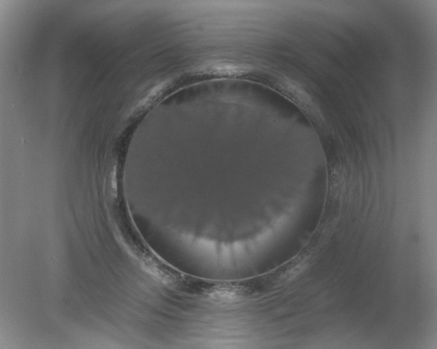 X0000079320358200612011848